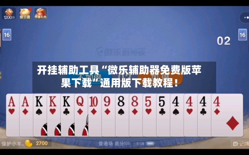 开挂辅助工具“微乐辅助器免费版苹果下载”通用版下载教程！-第2张图片