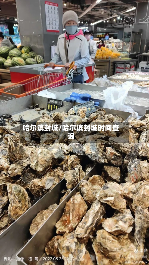 哈尔滨封城/哈尔滨封城时间查询