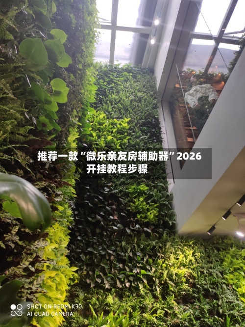 推荐一款“微乐亲友房辅助器	”2026开挂教程步骤-第3张图片