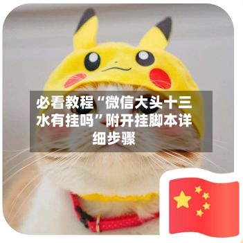 必看教程“微信大头十三水有挂吗”附开挂脚本详细步骤-第3张图片