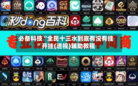 必备科技“全民十三水到底有没有挂”开挂(透视)辅助教程-第2张图片