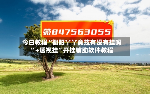 今日教程“衡阳丫丫竞技有没有挂吗”+透视挂	”开挂辅助软件教程-第2张图片