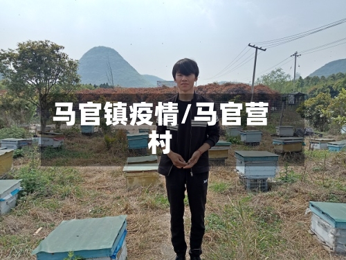 马官镇疫情/马官营村