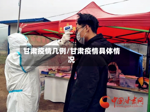 甘肃疫情几例/甘肃疫情具体情况-第2张图片