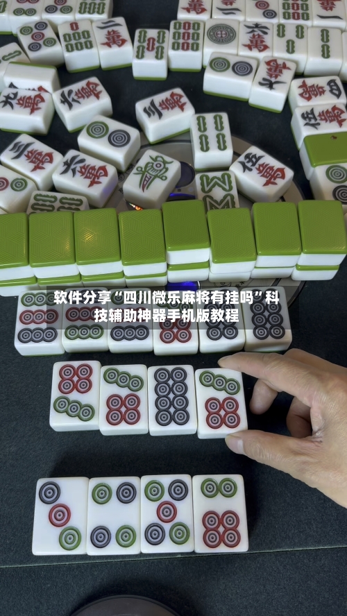 软件分享“四川微乐麻将有挂吗	”科技辅助神器手机版教程-第3张图片
