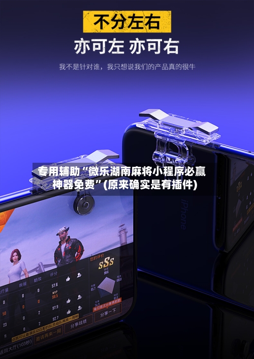 专用辅助“微乐湖南麻将小程序必赢神器免费”(原来确实是有插件)-第2张图片