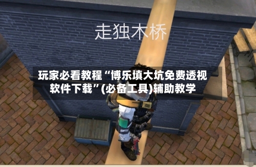 玩家必看教程“博乐填大坑免费透视软件下载”(必备工具)辅助教学