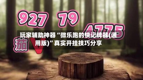 玩家辅助神器“微乐跑的快记牌器(通用版)”真实开挂技巧分享-第3张图片