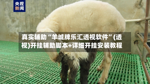真实辅助“羊城牌乐汇透视软件”(透视)开挂辅助脚本+详细开挂安装教程