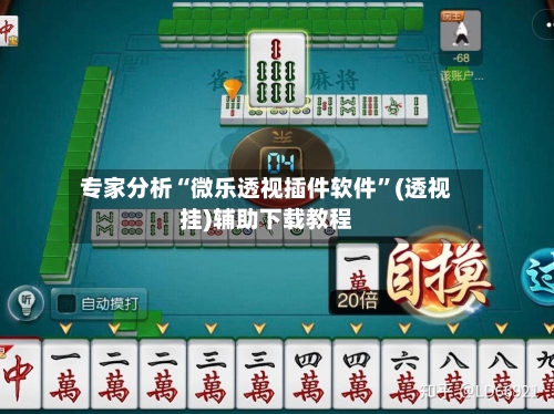 专家分析“微乐透视插件软件”(透视挂)辅助下载教程-第2张图片
