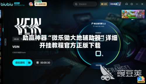 助赢神器“微乐锄大地辅助器”详细开挂教程官方正版下载-第2张图片