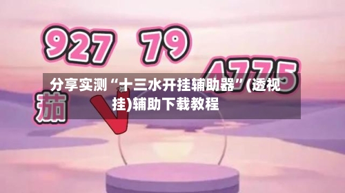 分享实测“十三水开挂辅助器	”(透视挂)辅助下载教程-第3张图片