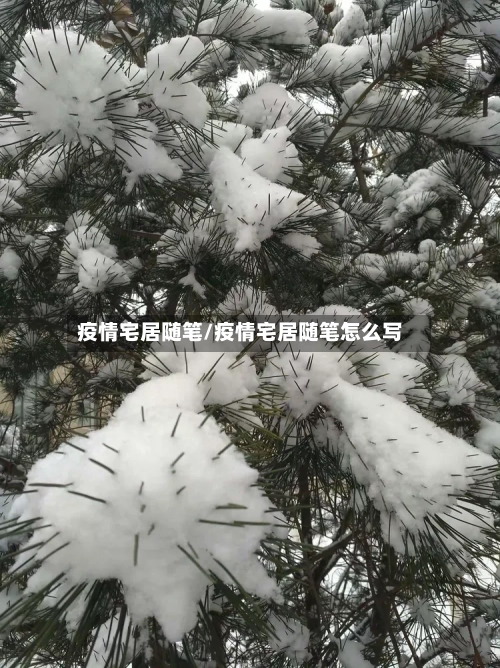 疫情宅居随笔/疫情宅居随笔怎么写-第2张图片