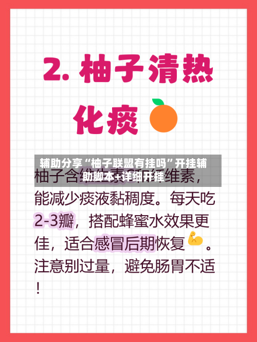 辅助分享“柚子联盟有挂吗”开挂辅助脚本+详细开挂-第2张图片