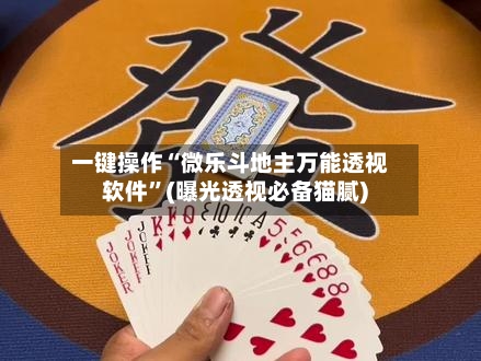 一键操作“微乐斗地主万能透视软件	”(曝光透视必备猫腻)-第2张图片
