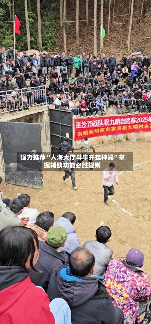 强力推荐“人海大厅斗牛开挂神器”掌握辅助功能必胜规则-第2张图片