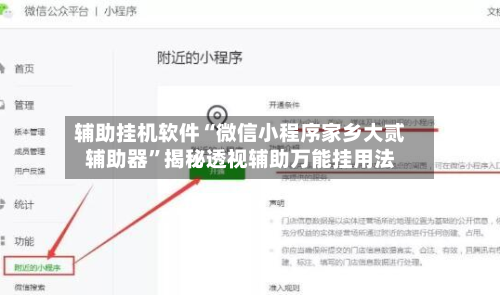 辅助挂机软件“微信小程序家乡大贰辅助器”揭秘透视辅助万能挂用法-第3张图片