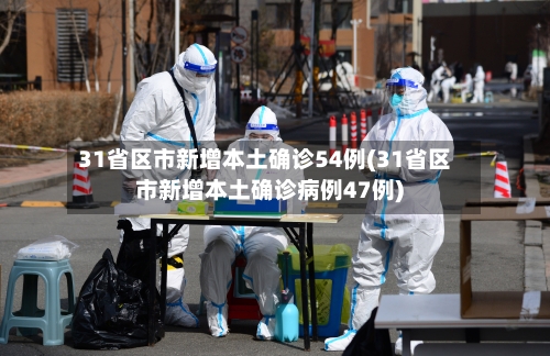 31省区市新增本土确诊54例(31省区市新增本土确诊病例47例)