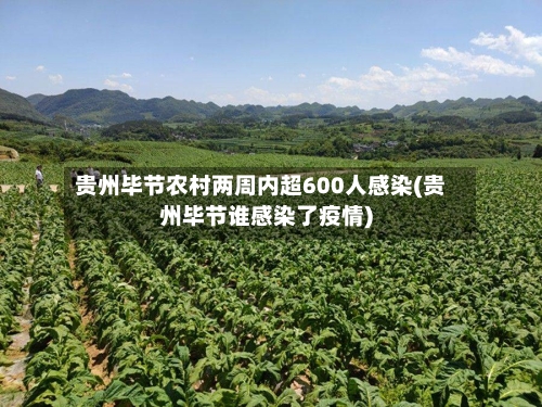 贵州毕节农村两周内超600人感染(贵州毕节谁感染了疫情)