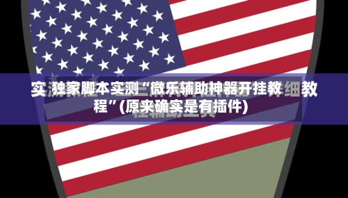 独家脚本实测“微乐辅助神器开挂教程”(原来确实是有插件)-第2张图片