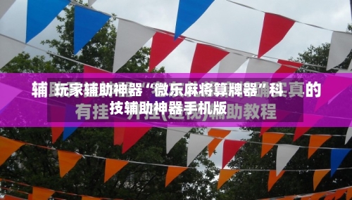 玩家辅助神器“微乐麻将算牌器”科技辅助神器手机版-第2张图片