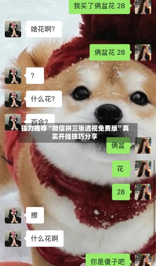 强力推荐“微信拼三张透视免费版	”真实开挂技巧分享-第2张图片
