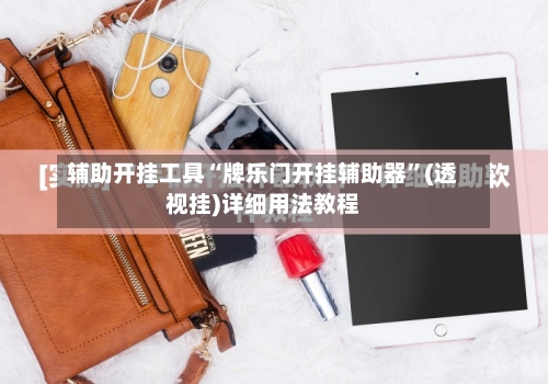 辅助开挂工具“牌乐门开挂辅助器	”(透视挂)详细用法教程-第2张图片