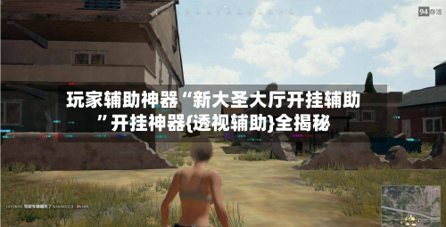 玩家辅助神器“新大圣大厅开挂辅助”开挂神器{透视辅助}全揭秘
