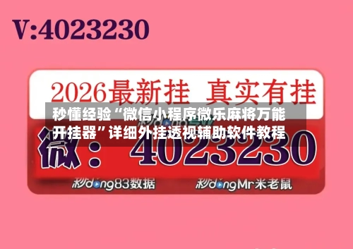 秒懂经验“微信小程序微乐麻将万能开挂器”详细外挂透视辅助软件教程-第3张图片