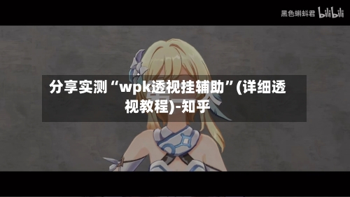 分享实测“wpk透视挂辅助	”(详细透视教程)-知乎-第3张图片