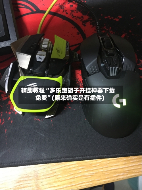 辅助教程“多乐跑胡子开挂神器下载免费	”(原来确实是有插件)-第2张图片