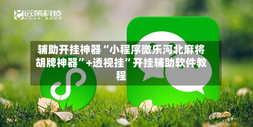 辅助开挂神器“小程序微乐河北麻将胡牌神器”+透视挂”开挂辅助软件教程-第2张图片