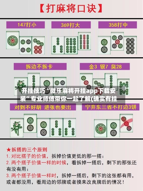 开挂技巧“微乐麻将开挂app下载安装”专业师傅带你一起了解(确实有挂-第2张图片