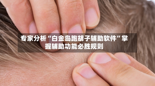 专家分析“白金岛跑胡子辅助软件”掌握辅助功能必胜规则-第2张图片