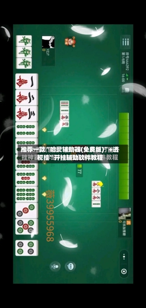 推荐一款“哈灵辅助器(免费版)”+透视挂	”开挂辅助软件教程-第2张图片