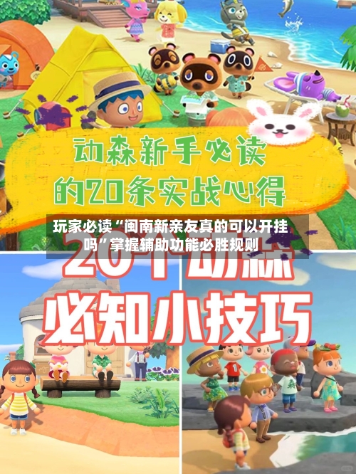 玩家必读“闽南新亲友真的可以开挂吗	”掌握辅助功能必胜规则-第2张图片