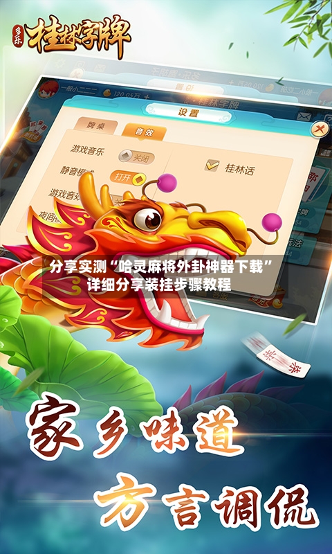 分享实测“哈灵麻将外卦神器下载”详细分享装挂步骤教程-第3张图片