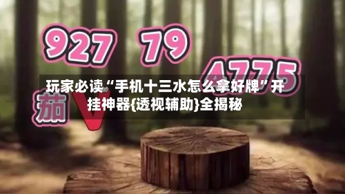 玩家必读“手机十三水怎么拿好牌	”开挂神器{透视辅助}全揭秘-第2张图片