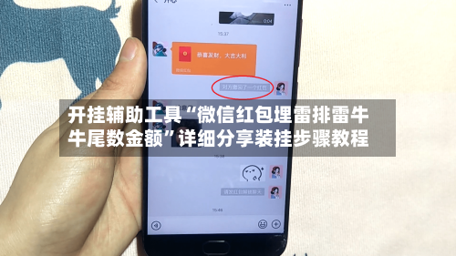 开挂辅助工具“微信红包埋雷排雷牛牛尾数金额”详细分享装挂步骤教程-第2张图片
