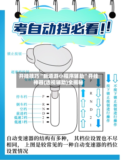 开挂技巧“新道游小程序辅助”开挂神器{透视辅助}全揭秘-第2张图片