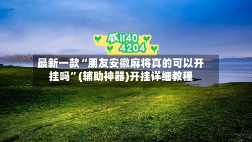 最新一款“朋友安徽麻将真的可以开挂吗”(辅助神器)开挂详细教程-第2张图片