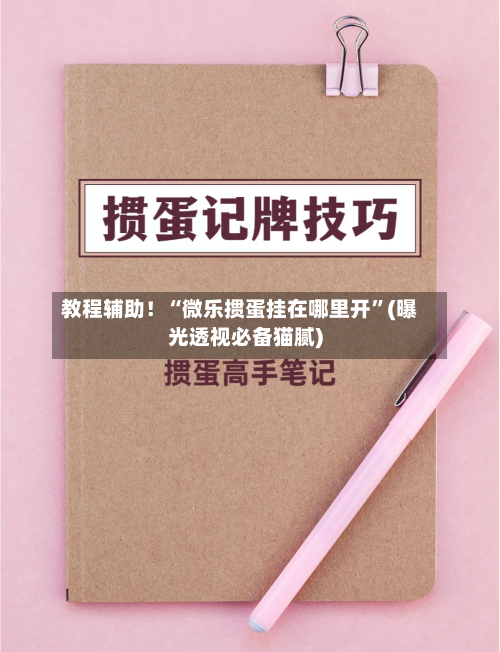 教程辅助！“微乐掼蛋挂在哪里开”(曝光透视必备猫腻)