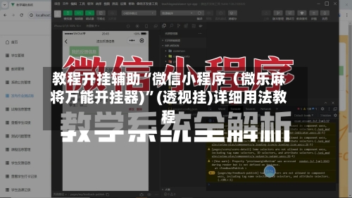 教程开挂辅助“微信小程序（微乐麻将万能开挂器)	”(透视挂)详细用法教程-第2张图片