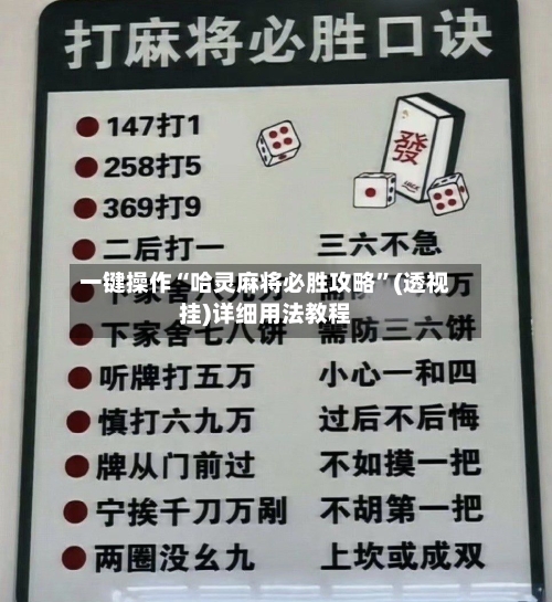 一键操作“哈灵麻将必胜攻略”(透视挂)详细用法教程-第2张图片