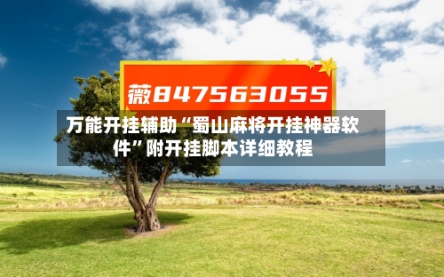 万能开挂辅助“蜀山麻将开挂神器软件”附开挂脚本详细教程-第2张图片