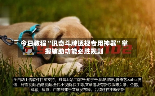 今日教程“讯奇斗牌透视专用神器”掌握辅助功能必胜规则-第2张图片