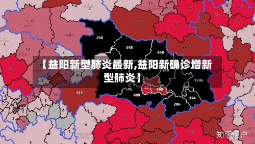 【益阳新型肺炎最新,益阳新确诊增新型肺炎】-第2张图片