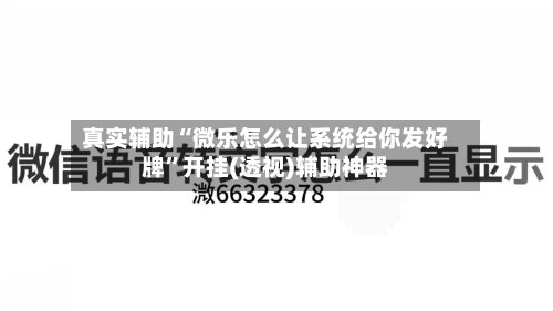 真实辅助“微乐怎么让系统给你发好牌”开挂(透视)辅助神器-第2张图片