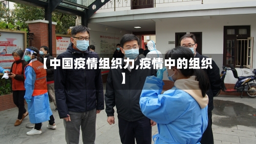 【中国疫情组织力,疫情中的组织】-第2张图片
