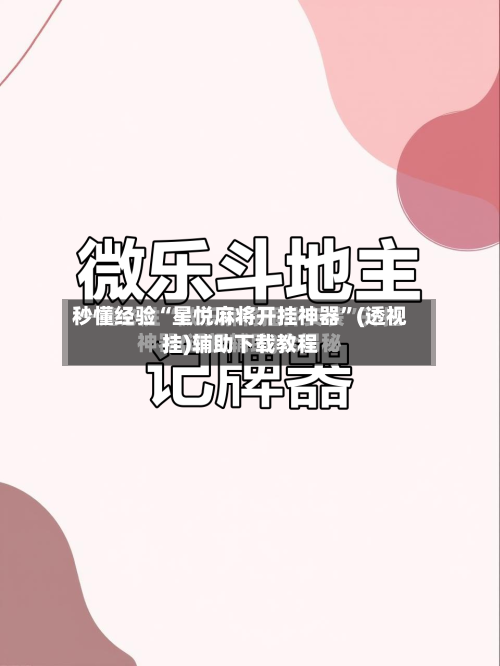秒懂经验“星悦麻将开挂神器”(透视挂)辅助下载教程-第2张图片